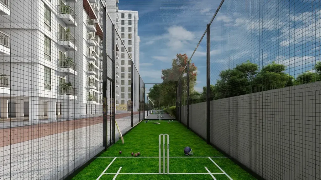 cricket